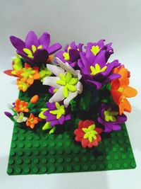 High angle view of multi colored flowers on table