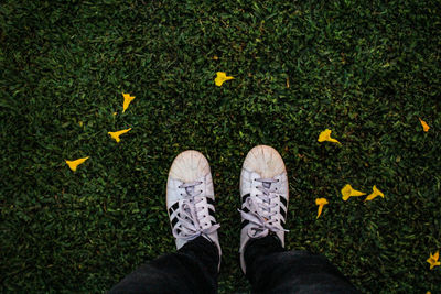 Low section of man standing on grassy field