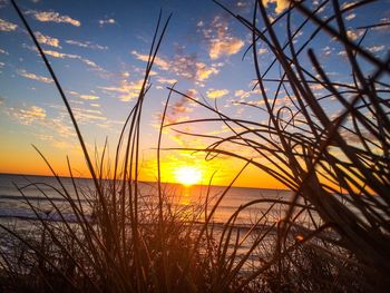 Scenic view of sea at sunset