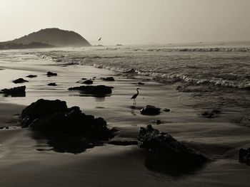 Scenic view of sea against clear sky during sunset