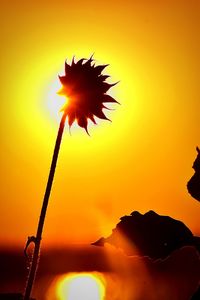 Close-up of silhouette flower against sky during sunset
