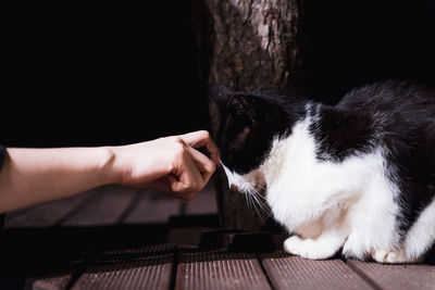 Midsection of person with cat against black background