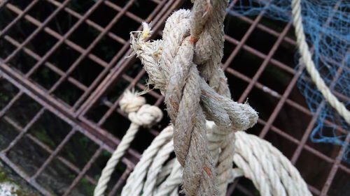 Close-up of rope tied up