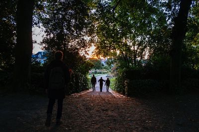 Rear view of couple walking on footpath amidst trees