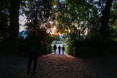 Rear view of people on footpath amidst trees