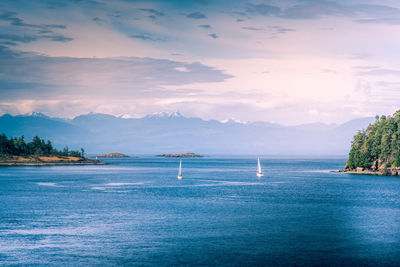 View of sailing boats from the harbour in nanaimo