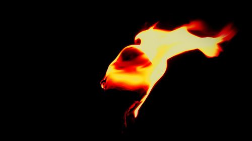 Close-up of fire