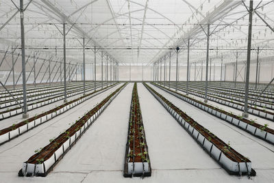 Metallic structure in greenhouse