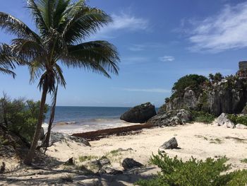 Scenic view of beach against sky