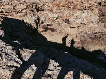 Close-up of rock formation