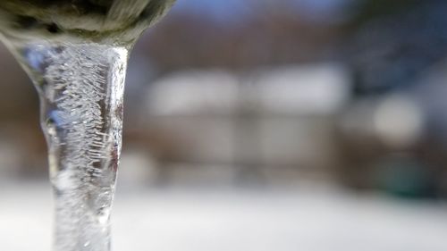 Close-up of frozen leaf during winter