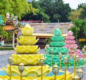 Close-up of multi colored plants in park