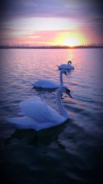 Scenic view of sea at sunset