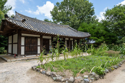 House by trees and plants against sky