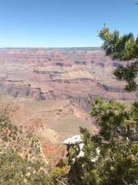 Scenic view of landscape against clear sky