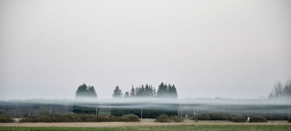 Scenic view of field against sky during foggy weather