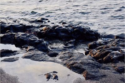 High angle view of sea shore at beach