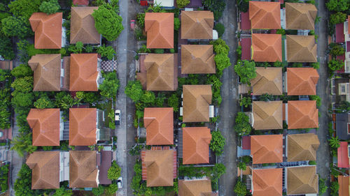 Directly above shot of buildings and trees