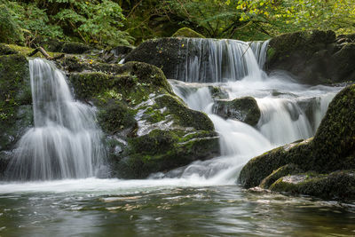 Scenic view of waterfall