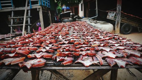 Dead fishes on table for drying