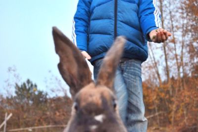 Woman standing on tree trunk