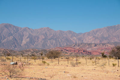 Colorful landscape in argentina south america