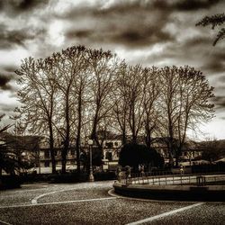 Bare trees against cloudy sky