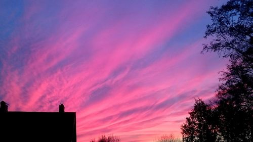 Low angle view of silhouette trees against dramatic sky