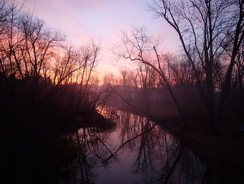 Silhouette trees against sky during sunset
