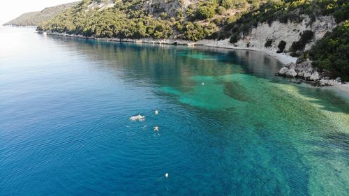 High angle view of swimming in sea