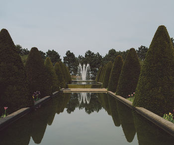 Artificial pond amidst trees at public park