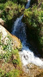 High angle view of water flowing over trees