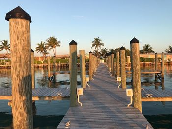 Pier amidst trees against clear sky