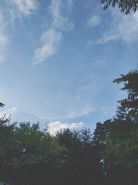 Low angle view of trees against sky