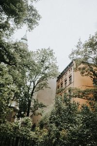 Low angle view of trees and building against sky