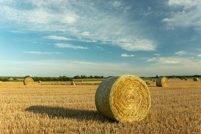 Huge hay bales in the field, white clouds on the blue sky, summer landscape