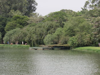 Scenic view of lake by trees against sky