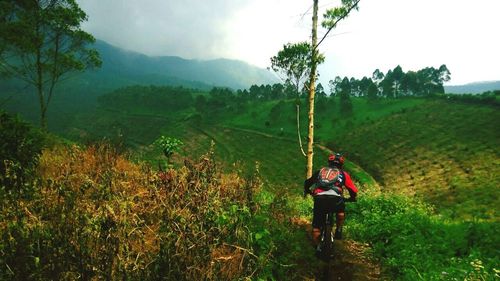 Rear view of woman walking on field against mountain