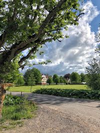 Trees on field against sky