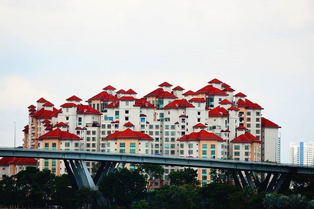 architecture, built structure, building exterior, clear sky, low angle view, residential structure, house, residential building, tree, red, roof, copy space, sky, city, day, outdoors, no people, building, growth, residential district