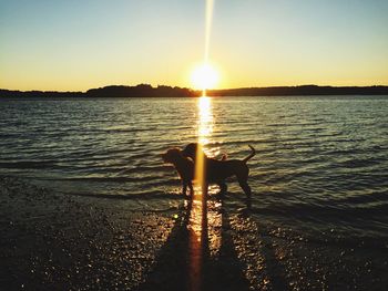 Scenic view of sunset over river