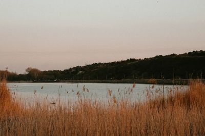 Scenic view of lake against clear sky