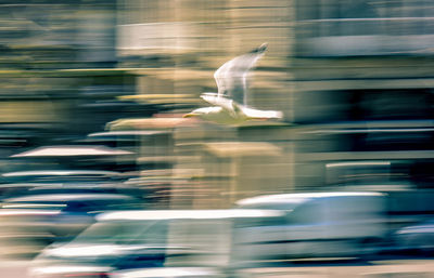 Blurred motion of blurred motion