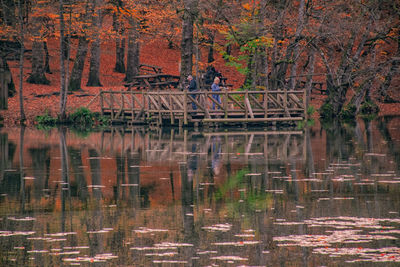 Reflection of trees in lake during autumn