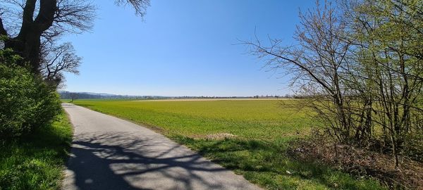 Empty road amidst field against clear sky