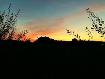 Silhouette plants on field against orange sky