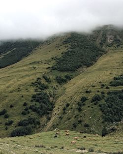 Scenic view of landscape against sky