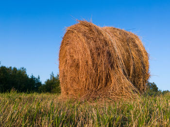 Hay bales on field against clear blue sky