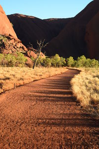 Walking at sunrise in uluru. northern territory. australia