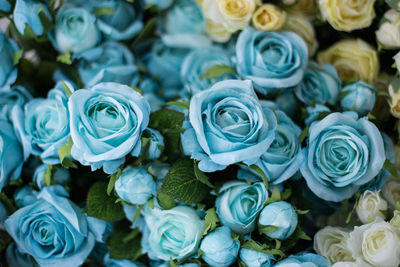 Full frame shot of rose bouquet